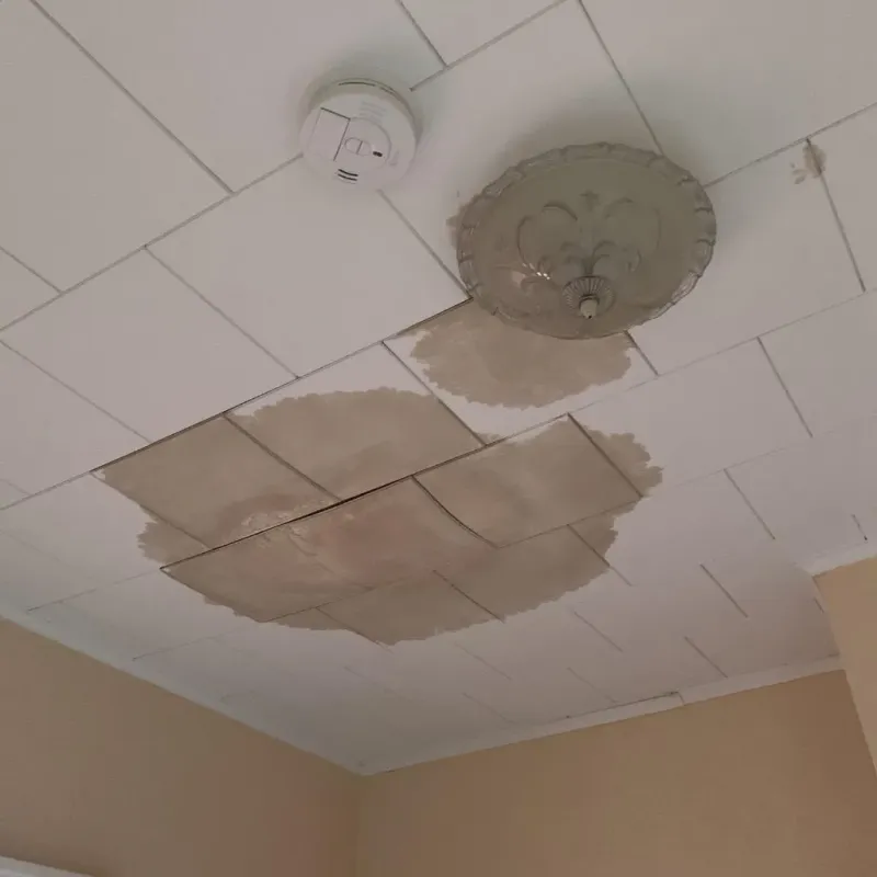 Ceiling Water Damage Repair in Carroll County, KY