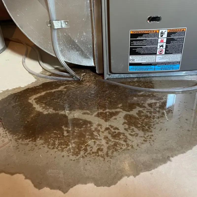 Pipe Burst and Leak Restoration in Carroll County, KY