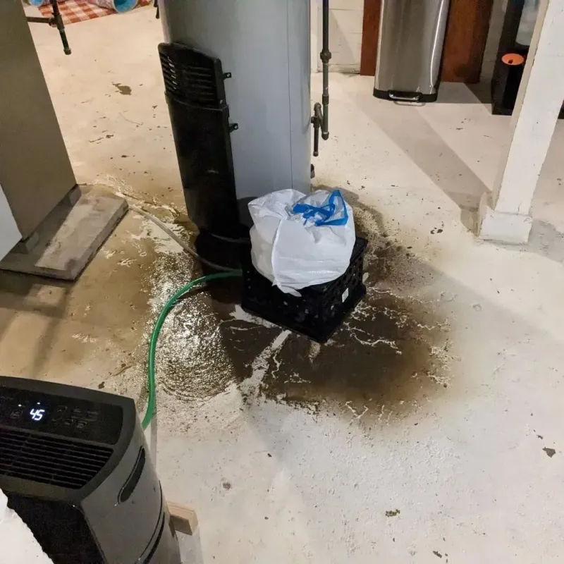 Sewage Backup Cleanup Service in Carroll County, KY